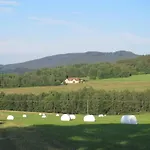 公寓 Novohradky - Oaza Klidu Na Samote U Lesa *